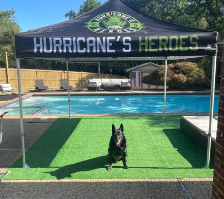 Hurricane Heroes Pic 1